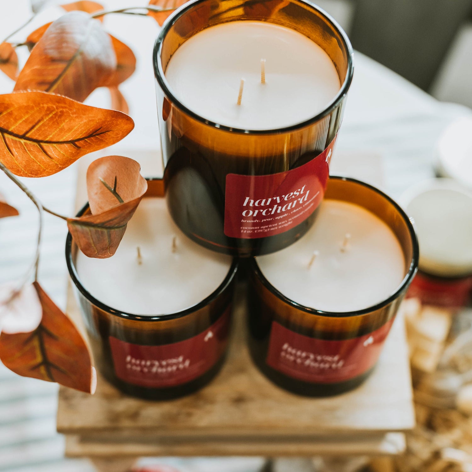 Harvest Archive candles with autumn-themed packaging on a decorative surface.