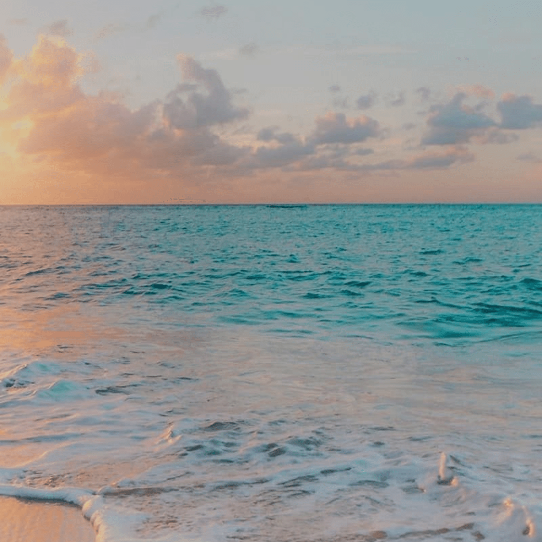Scent of Summer: The Inspiration Behind the Bikini Season Collection - Pure Intentions Candle Company